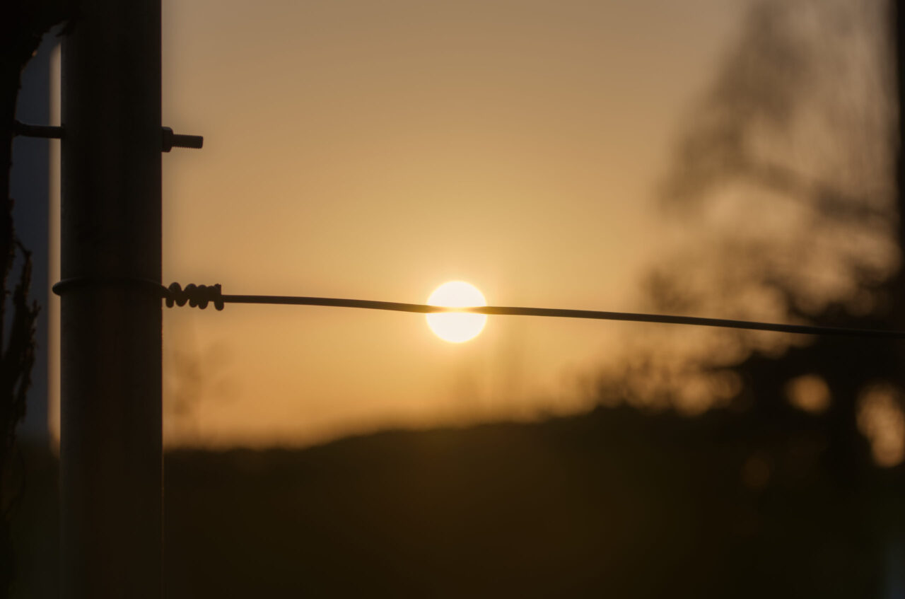 Sonne hinter Draht