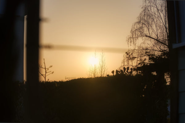 Sonne