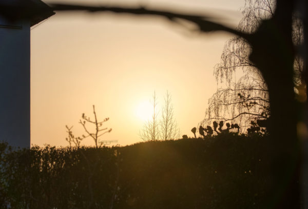 Sonne
