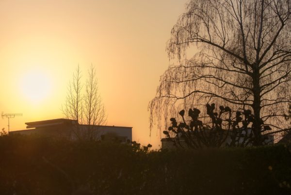 Sonne