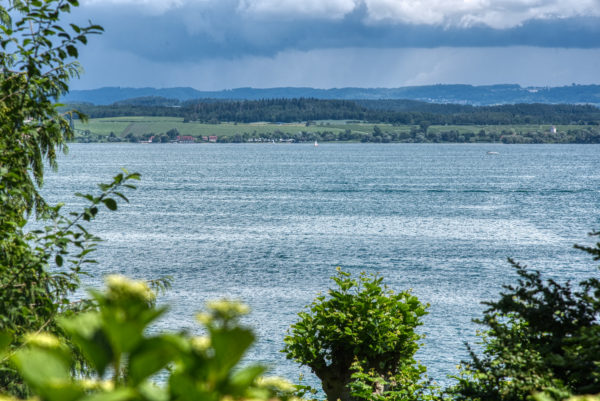 Blick von Insel Mainau ans Ufer
