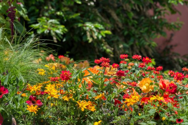 Blumenbeet auf der Insel Mainau