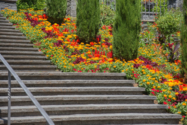 Bepflanzung an der Italienischen Blumentreppe, Insel Mainau