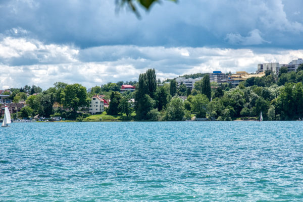 Blick von der Insel Mainau ans Ufer
