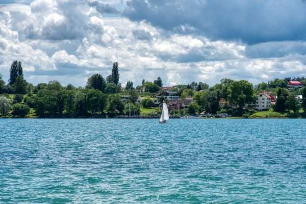 Blick von der Insel Mainau ans Ufer