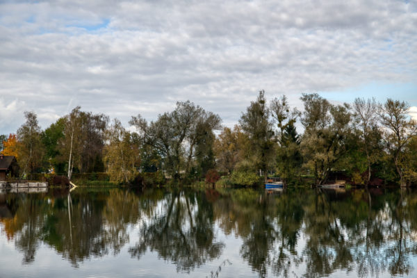 Vom Lauteracher Ried aus nach Hard