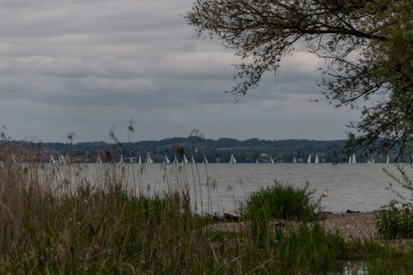 Wochenhafen-Impressionen unter Wolken