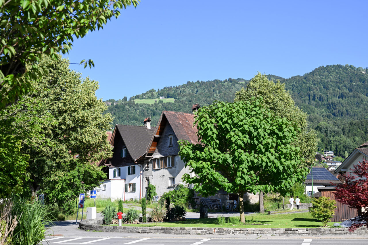 dsc 0696