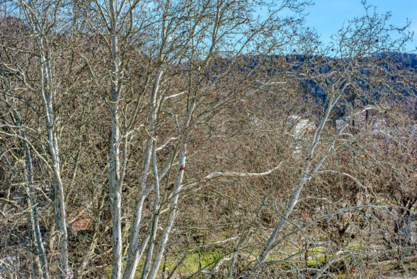 Blick von der Besuchertribüne