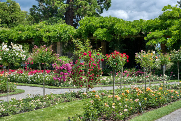 Familien-Ausflug in Coronazeiten zur Insel Mainau