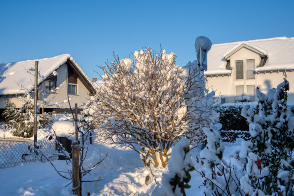 Sonne und Schnee - ein Wintertag wie aus dem Bilderbuch