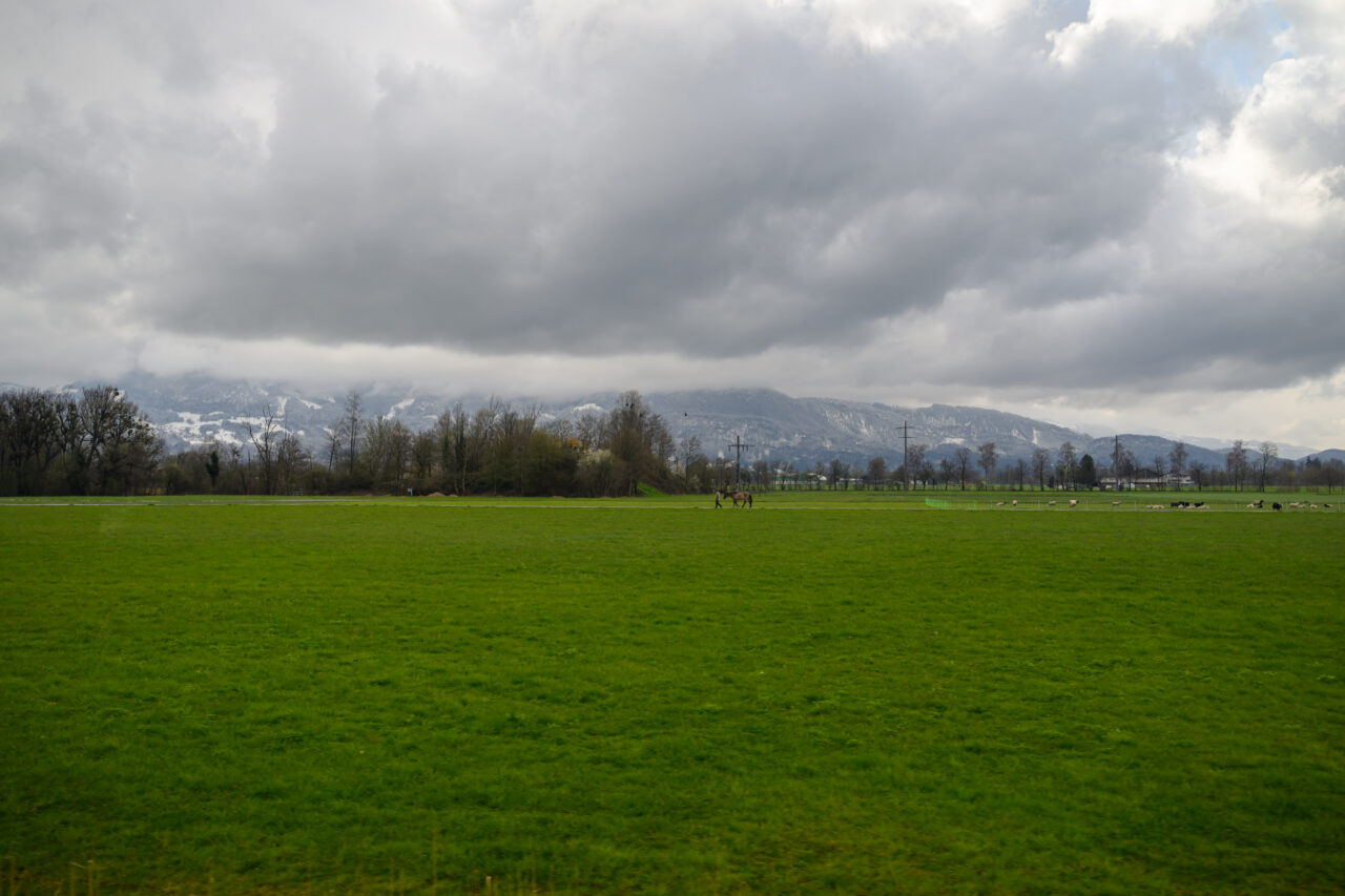 Grüne Wiese mit Bergen und Wolken