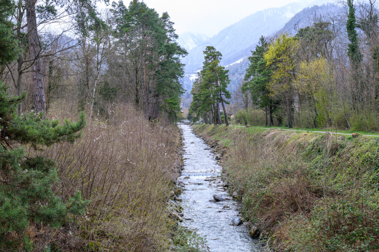 Kleine Wasserstraße zwischen Bäumen