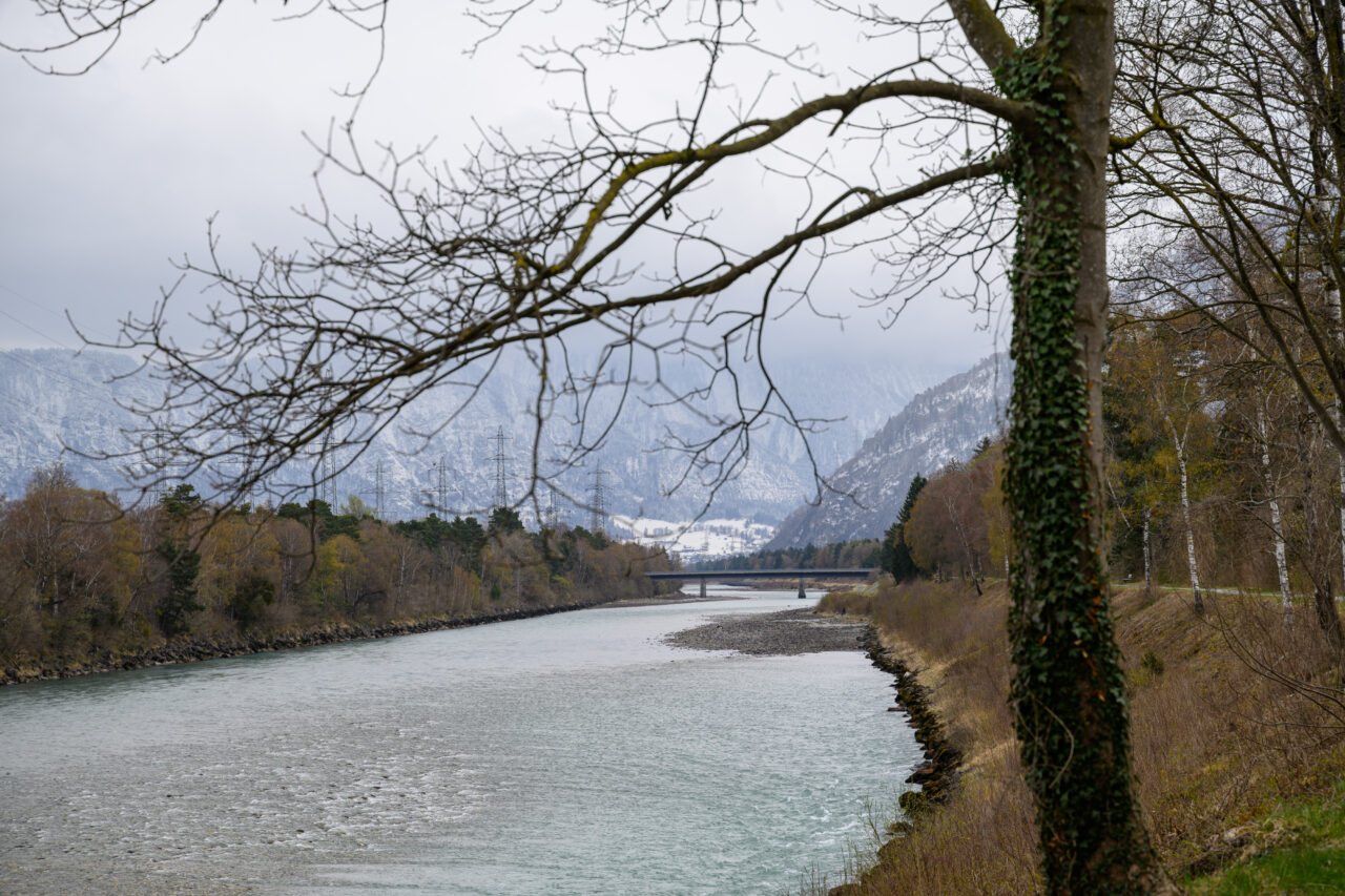 Flusslandschaft mit Bäumen und Bergen