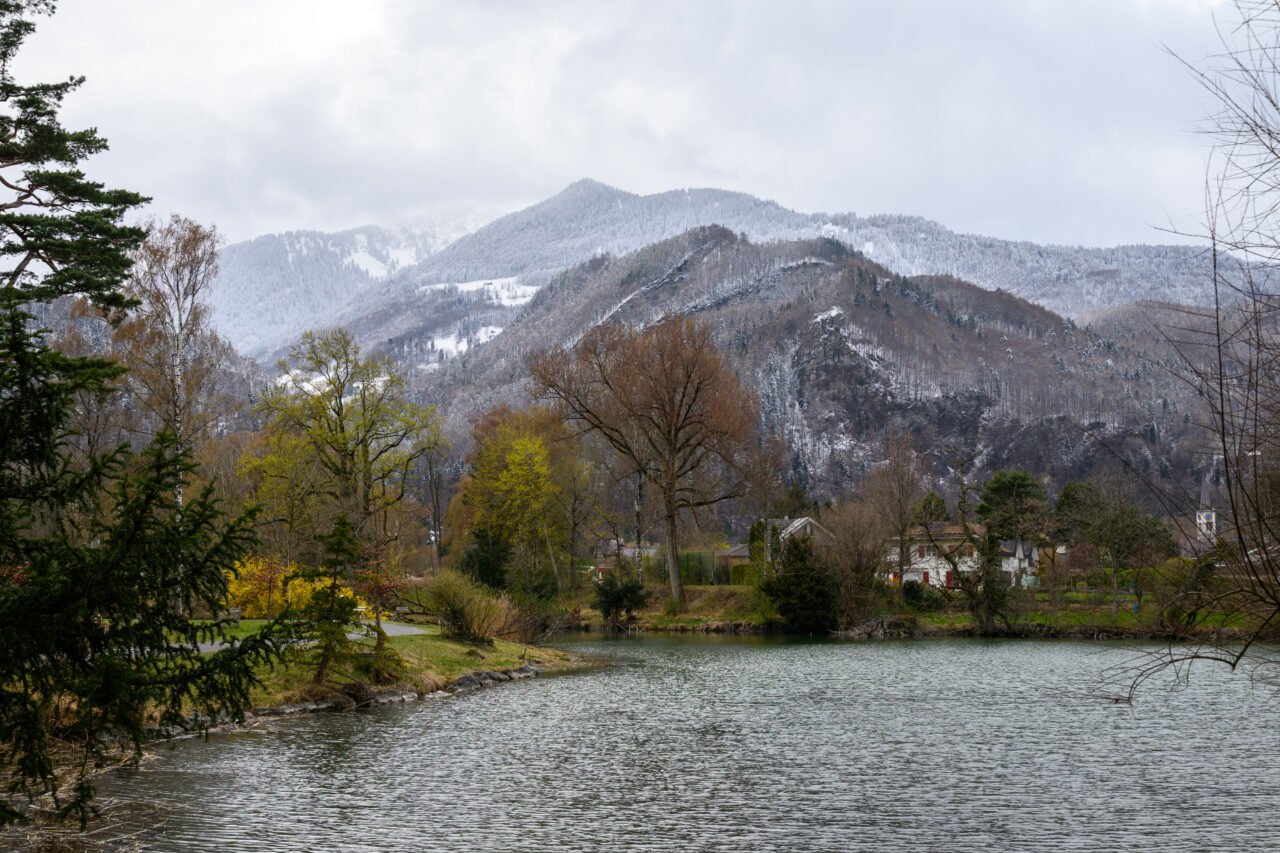 Berglandschaft mit See und Bäumen