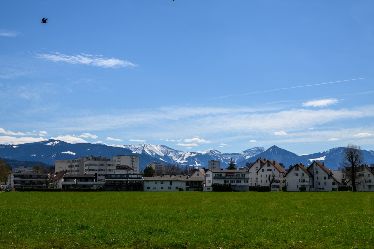 Wohnhäuser vor Alpenpanorama mit grüner Wiese