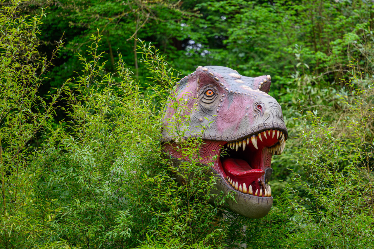 Dinosaurierkopf im dichten grünen Gebüsch