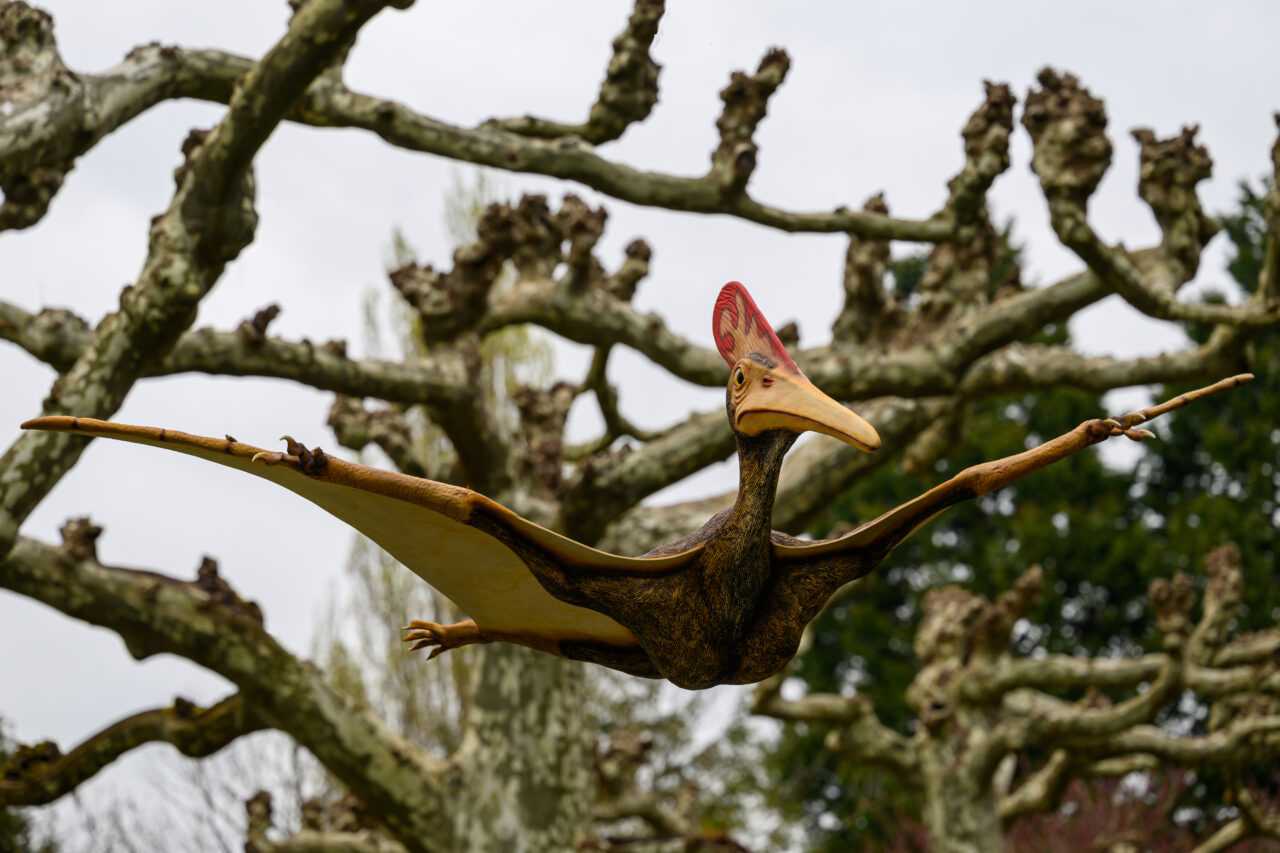 Flugsaurier-Modell mit ausgebreiteten Flügeln im Park