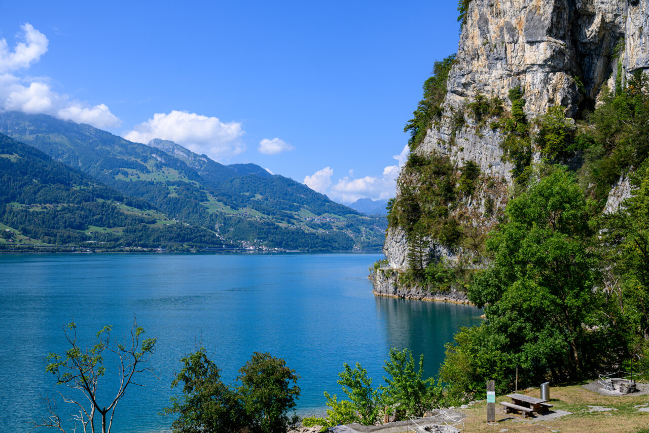 z04 2639