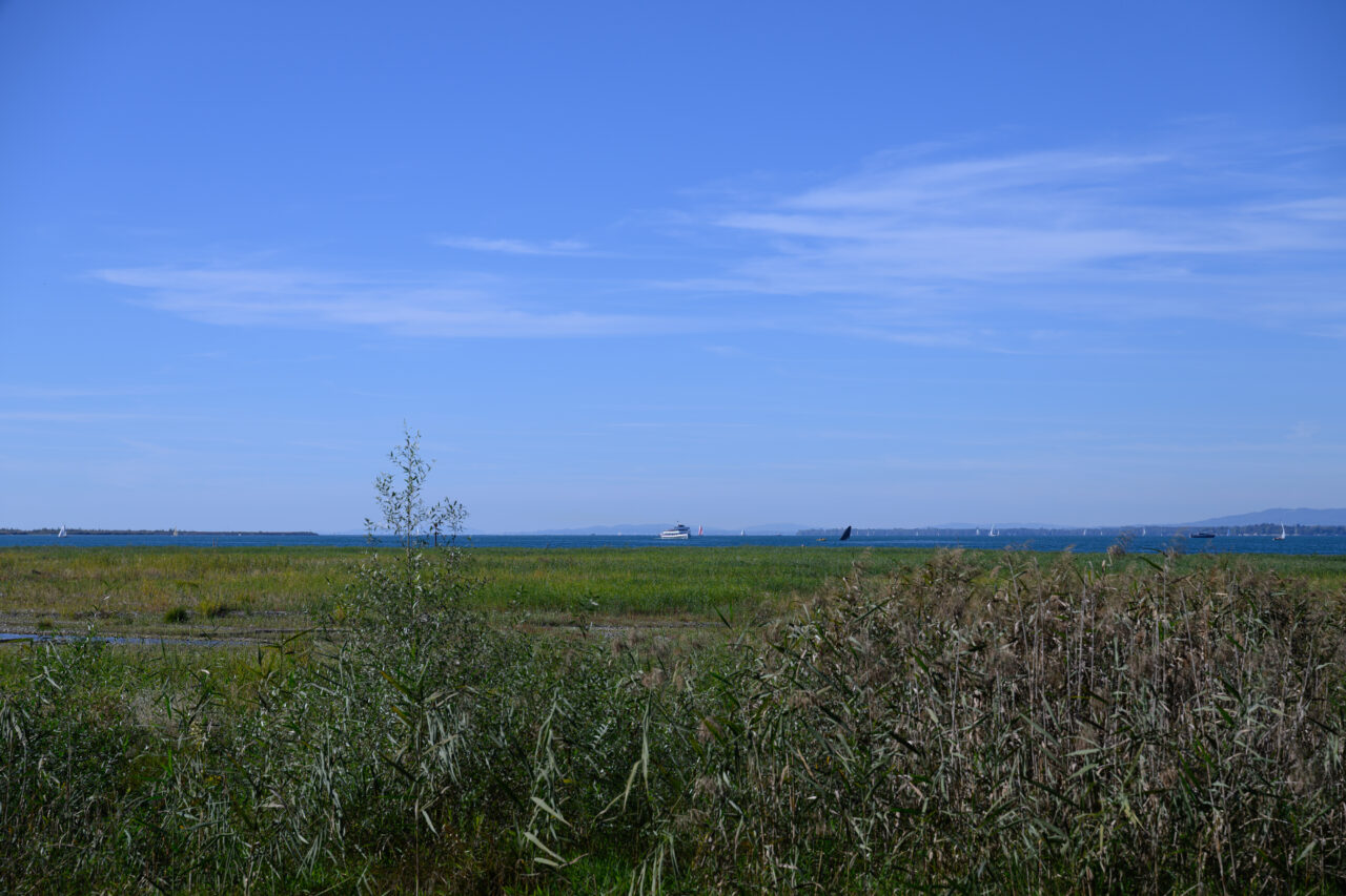 z04 5767